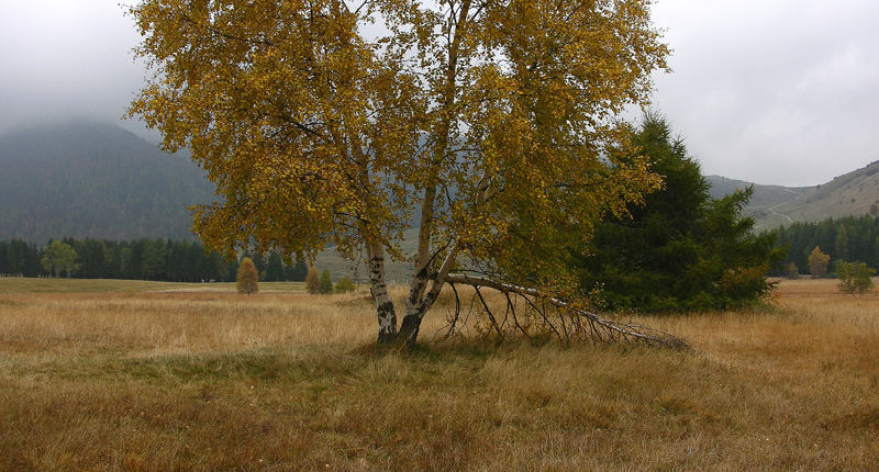 Viote del Bondone.